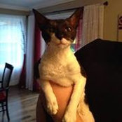 Samuel Tardif's photo