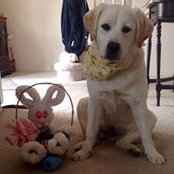 Andrea Hetrick's photo