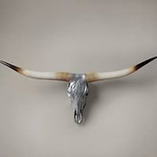 Chrome Bullheads foto