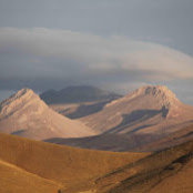 Taraneh Zolfaghari's photo
