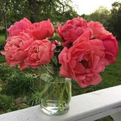 Stephanie Weber's photo