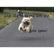 Che'ree Fitzgerald's photo