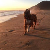 Kimberly Lesher's photo