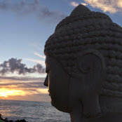 Kim Wolin's photo
