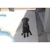 Tammy Bredimus's photo