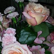 Martina Yang's photo