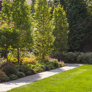 Rear Walkway