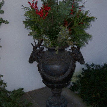 Winter Display