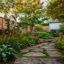 Patio & Paths