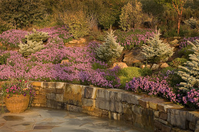 Photo of a rustic landscaping in Denver.