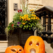 fall decor