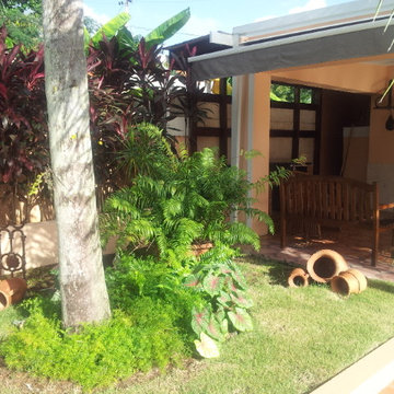 GARDEN SPRUCE UP FOR MY DAUGHTER’S WEDDING