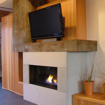 Roosevelt Residence - Modern Fireplace with Concrete, Steel and Fir Surround