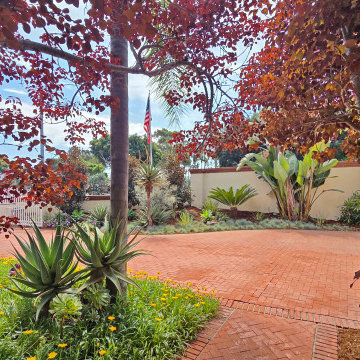 Artistic Contrast — Copper Bush Frames the Cool Garden Beyond