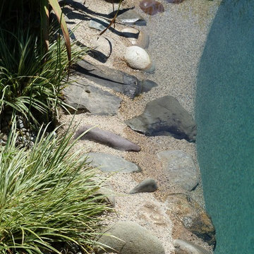BioNova® Natural Swimming Pool - Princeton, NJ