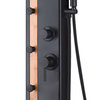 Eclipse 4-Jet ShowerSpa, Matte Black With Bamboo