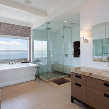 Shower door