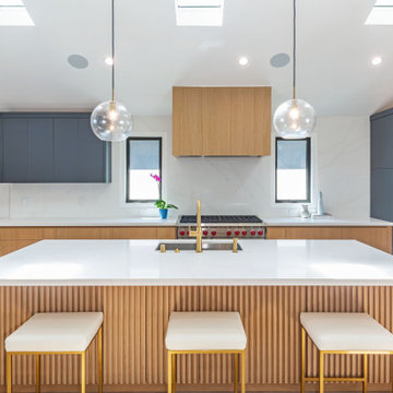Modern Aesthetic | Whole House Remodel