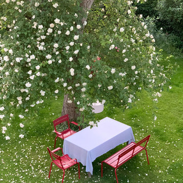Ein Sitzplatz unter Kletterrosen