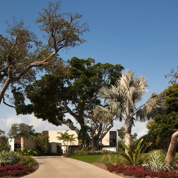 driveway entry with banyan tree framing