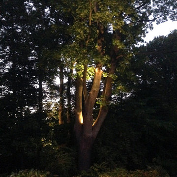 Landscape Lighting