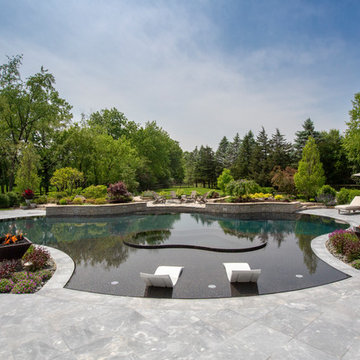 Barrington Hills, IL Freeform Perimeter Overflow with Perimeter Overflow Hot Tub
