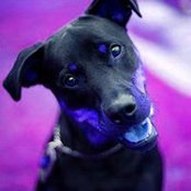 Kenneth Hartung's photo