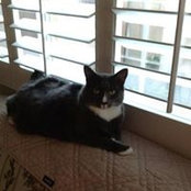 Kathryn Ford's photo