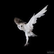 Paula Green's photo