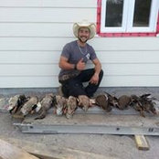 Pierre Arsenault's photo