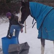 Dawn Flatman's photo