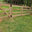 Foothills Fence Company