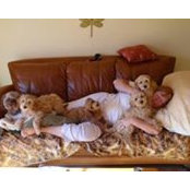 Michelle Walker-Thomas's photo