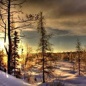 Jay Niemann's photo