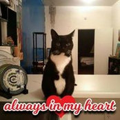 Ryan Nicole's photo