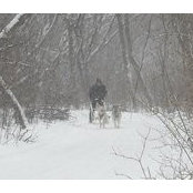 Wes Robinson's photo