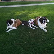 Gina Silva's photo