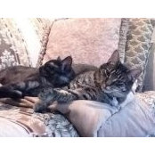 Pam Sachenik's photo