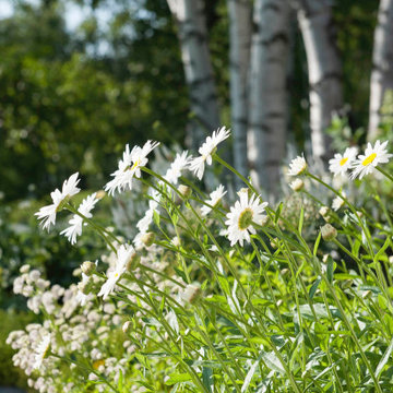 Home Outside Garden Design Services