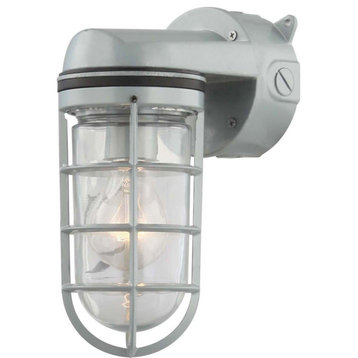 Volume Lighting 9851 1 Light 10" Tall Outdoor Wall Sconce - Silver Gray