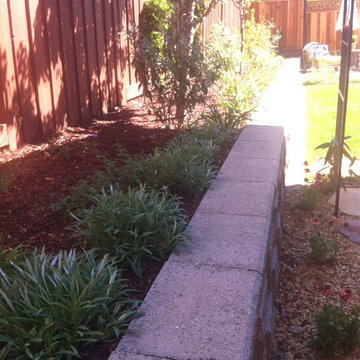Private garden from Lawn Reduction
