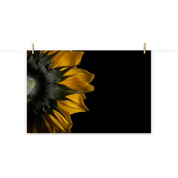 Backside of Sunflower Nature Photo, Floral Unframed Wall Art Print, 12" X 16"