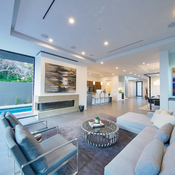 Modern Home Remodel by Treeium - West Hollywood, CA