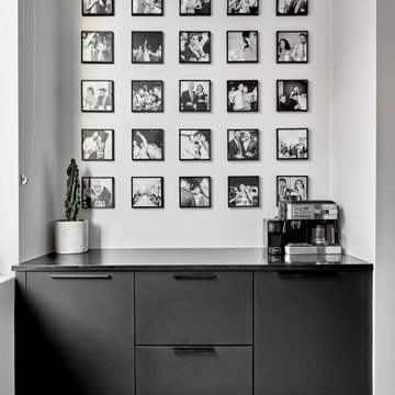 Minimalistic Kitchen Remodel In Near North (Chicago, IL)