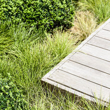 Garden Combinations And Vignettes.