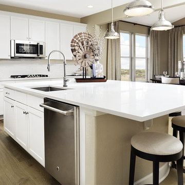 Hemingway model home in Colorado