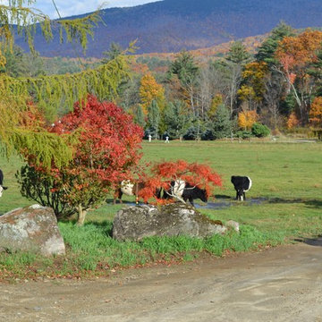 Colorful Entrance