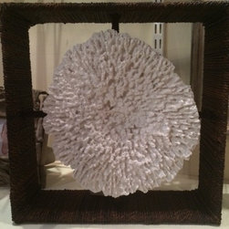 Coral Shadow Box - Sculptures