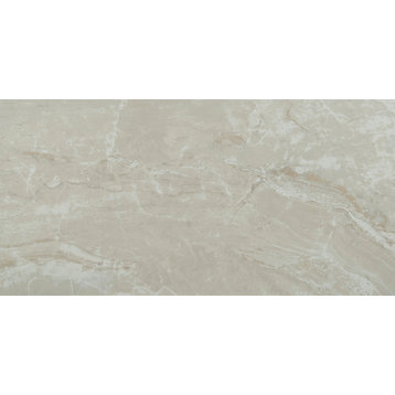 MSI N1224-N 12" x 24" Rectangle Floor and Wall Tile - Matte - Onyx Ivory