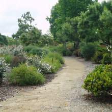 xeriscape